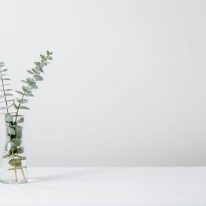 tim-chow-9IcKPSQ9G5Q-unsplash